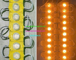 1b-cao-vang-chua-web-1 1b-cao-vang-chua-web-1